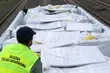 Pociąg z kontrabandą. Papierosy były ukryte w nawozach