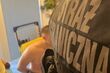 Brał 1000 euro za przewóz migranta. 29-latek został zatrzymany [WIDEO]