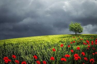 Czas powitać tegoroczny sierpień. Jak prezentuje się pogoda na ten miesiąc?