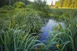 Jak zapowiada się pierwszy piątek i weekend sierpnia? Zaświeci słońce, ale nie na długo