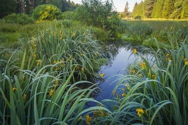 Jak zapowiada się pierwszy piątek i weekend sierpnia? Zaświeci słońce, ale nie na długo