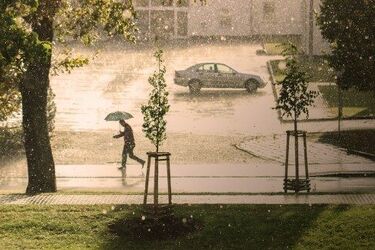 Temperatura spadnie i pojawi się deszcz. Będzie także wysoka wilgotność powietrza