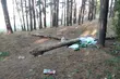 Śmieci przy ul. Sybiraków, nielegalna wycinka drzew przy ul. Orzeszkowej