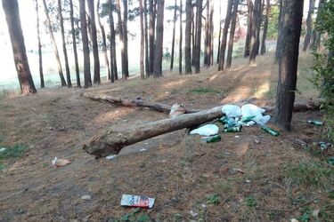 Śmieci przy ul. Sybiraków, nielegalna wycinka drzew przy ul. Orzeszkowej