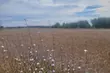 Wtorek pochmurny z przejaśnieniami, ale bez deszczu