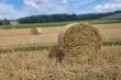 Jak prezentuje się pogoda w piątek i w weekend? Zapowiada się słonecznie