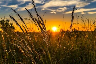 Kolejny sierpniowy początek tygodnia. Takiej pogody możemy się spodziewać
