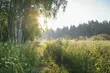 Będzie gorąco. Ostrzeżenie meteorologiczne przewiduje 2 stopień upałów