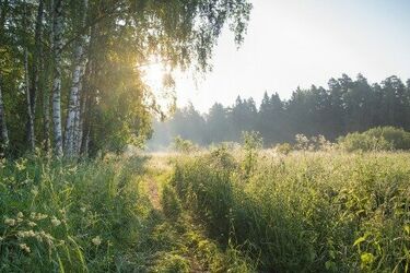 Będzie gorąco. Ostrzeżenie meteorologiczne przewiduje 2 stopień upałów