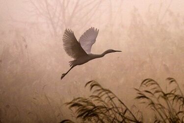 Będzie upalnie, ale i pochmurnie. W ciągu dnia chwilowe zamglenia