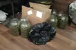 Narkotykowa uczta udaremniona przez podlaską policją