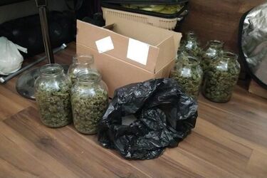 Narkotykowa uczta udaremniona przez podlaską policją