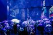 Opowieść o miłości, której nie zatrzyma nawet śmierć, czyli Musical "Ghost"