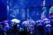 Opowieść o miłości, której nie zatrzyma nawet śmierć, czyli Musical 