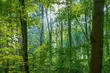 Jaką pogodę przyniesie ostatni poniedziałek sierpnia?