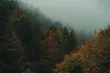 Taką pogodą zakończymy tegoroczny sierpień