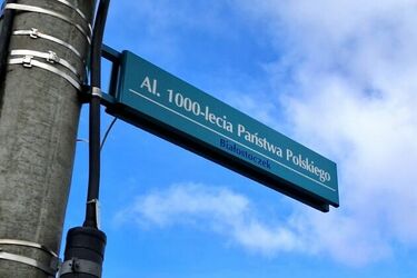 Wypadki i kolizje. Al. 1000-lecia Państwa Polskiego czarnym punktem na mapie miasta