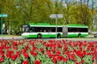 Piknik rodzinny i prezentacja nowych, białostockich autobusów 