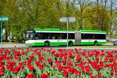 Piknik rodzinny i prezentacja nowych, białostockich autobusów 