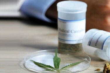 Czy medyczna marihuana to samo zdrowie?