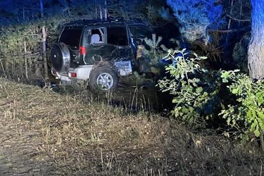 Mężczyzna uderzył w drzewo. Nie żyje