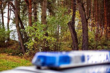 Osobówka uderzyła w drzewo. Kierowca zginął na miejscu