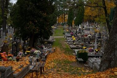 Masz problem ze znalezieniem grobu? Pomoże internetowa wyszukiwarka osób pochowanych