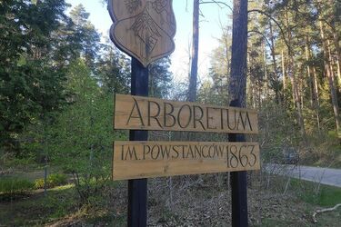 Ogród botaniczny na Podlasiu? Jest bliżej, niż nam się wydaje! [ZDJĘCIA]