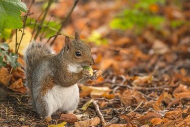 Jaką pogodę przyniesie nam pierwszy, listopadowy weekend?