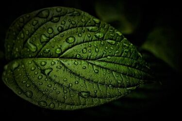 Rozpoczęcie tygodnia nie przyniesie nam zmiany pogody. Będzie zimno i deszczowo 