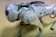 Robo-pies 