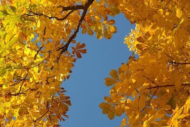 Pogoda na weekend. W niedzielę spadnie deszcz ze śniegiem