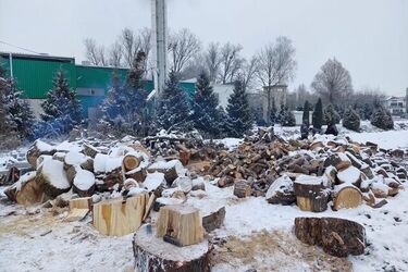 Mieszkańcy dostaną pocięte drewno za darmo