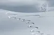 Pierwszy grudniowy weekend. Jaka będzie pogoda? 