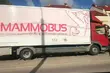 Grudniowe mammobusy w Podlaskiem. Gdzie można będzie zbadać piersi? [HARMOMNOGRAM]