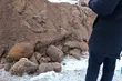 Na budowie znaleziono niewybuchy. Będzie ewakuacja mieszkańców!