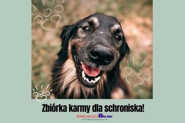 Wesprzyj podopiecznych białostockiego schroniska z BiałystokOnline! 