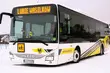 Bezpłatny autobus zawiezie na miejskiego sylwestra [HARMONOGRAM]