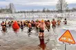 Morsy weszły do wody. Na termometrach było -10°C [ZDJĘCIA]