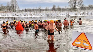 Morsy weszły do wody. Na termometrach było -10°C [ZDJĘCIA]