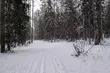Silny wiatr i przelotne opady śniegu. Tak prezentuje się pogoda na poniedziałek 