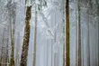 Czwartek przyniesie nam ocieplenie i obfite opady deszczu ze śniegiem 