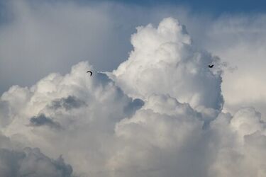 Nad Białystok powrócą ciemne chmury. Jaką pogodę przyniesie nam czwartek?