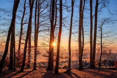 Trochę słońca, trochę deszczu. Tak prezentuje się pogoda na nadchodzący weekend