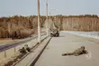 Na Podlasiu trwają ćwiczenia wojskowe w ramach NATO