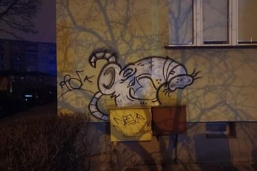 Białostocka policja łapie graficiarzy