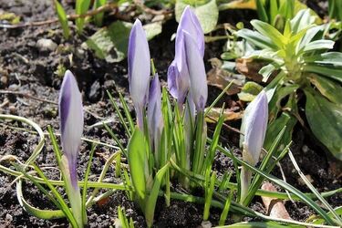 Jaka będzie dziś pogoda? Nadchodzi ocieplenie!