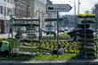 Miasto pięknieje. Trwają wiosenne nasadzenia