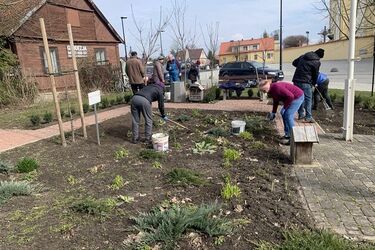 Skwer dla seniorów nabiera kolorów. To wyjątkowe miejsce