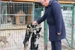 Schronisko dla zwierząt 